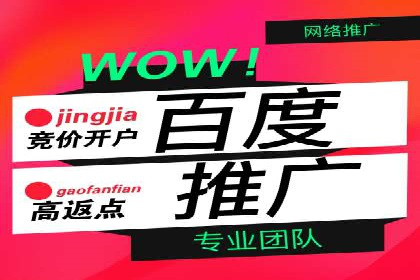 抖音信息流代理的运营策略与成功案例解析